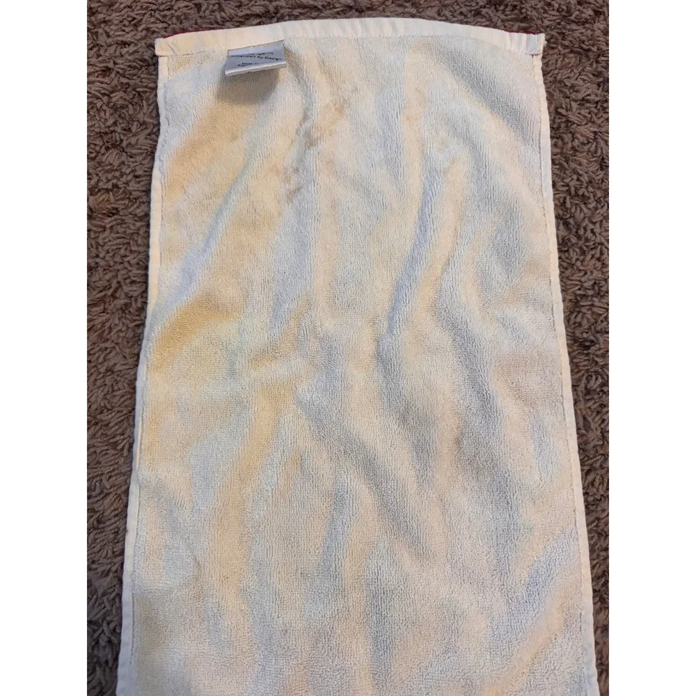 Lenox Holiday Nouveau Christmas Fingertip Towels Set of 2 Holly Gold Accents